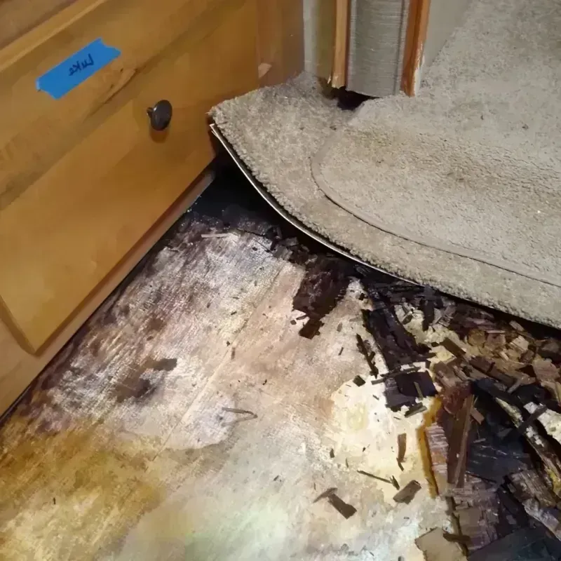 Best Wood Floor Water Damage Service in Columbus Junction, IA